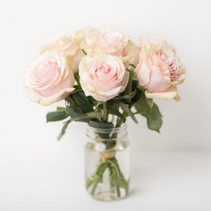 7 кремовых роз в Белгороде