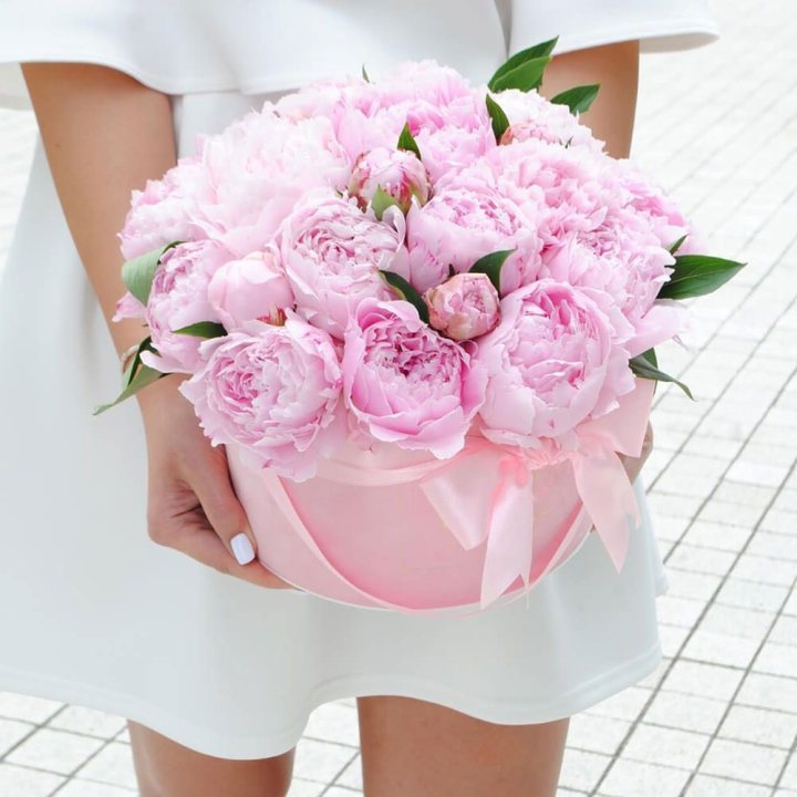 Пионы в шляпной коробке в Белгороде