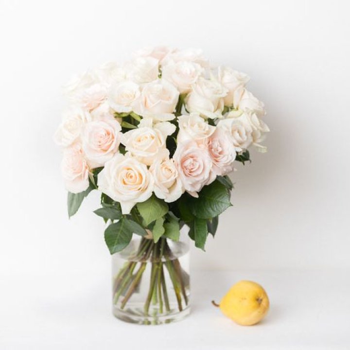 25 кремовых роз в Белгороде