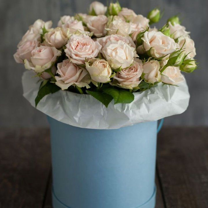 Бокс с бомбастиком в Белгороде