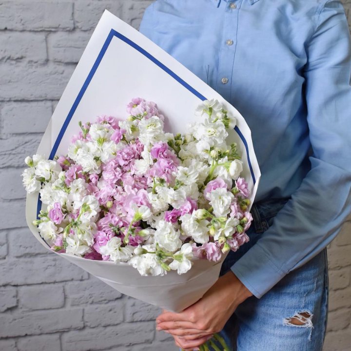 Маттиола в Белгороде