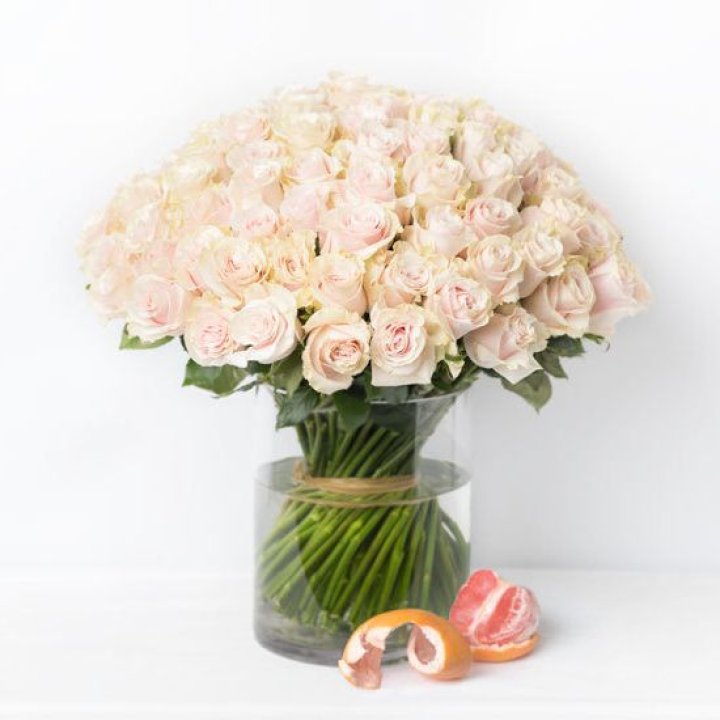 101 кремовая роза в Белгороде