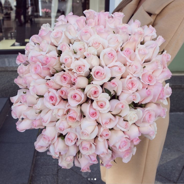 Розы "Пинк бум" в Белгороде