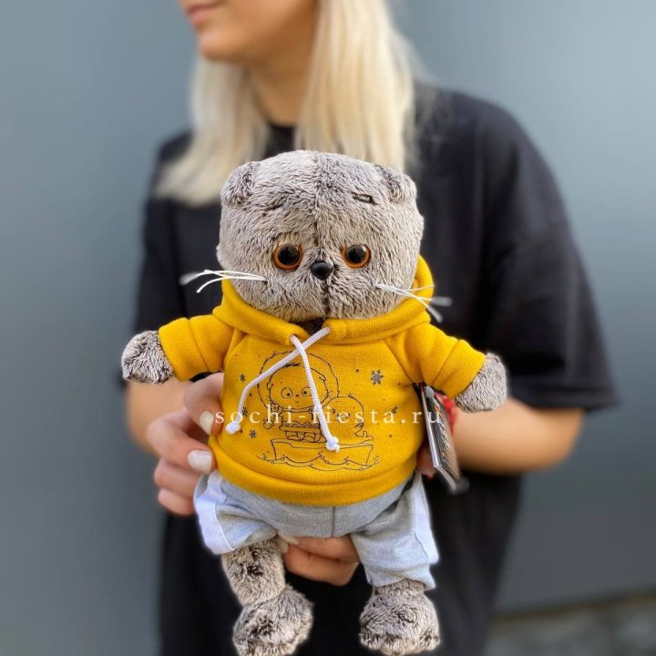 Кот Басик в худи в Белгороде