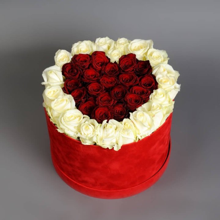 39 красных и белых роз в цилиндре в Белгороде