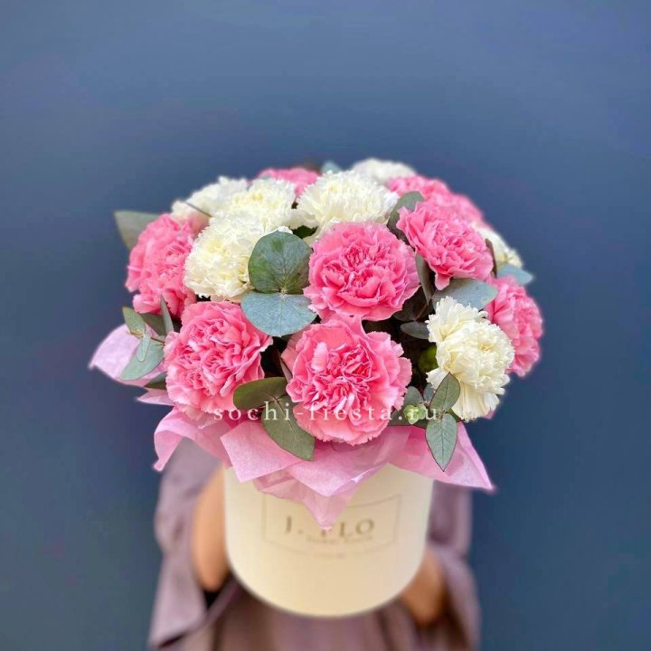 Диантусы в цилиндре в Белгороде