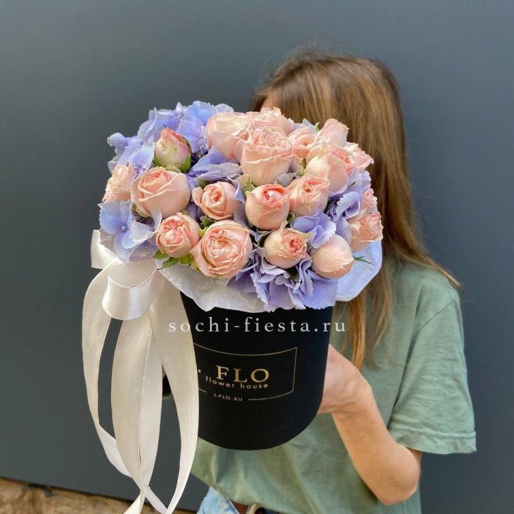 Бокс бомбастик и гортензия в Белгороде