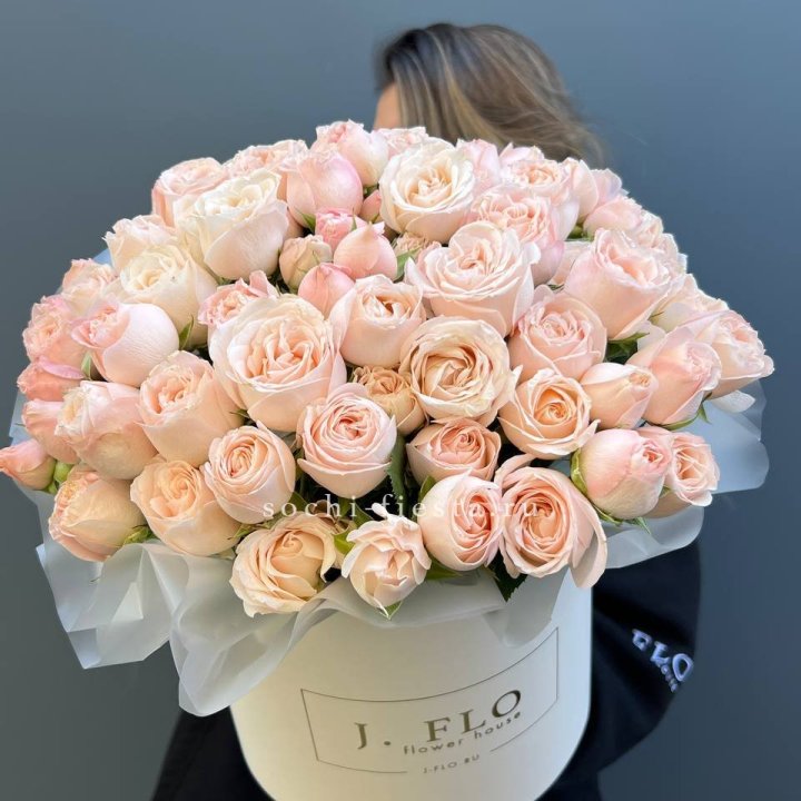 Бомбастик бокс Премьер в Белгороде