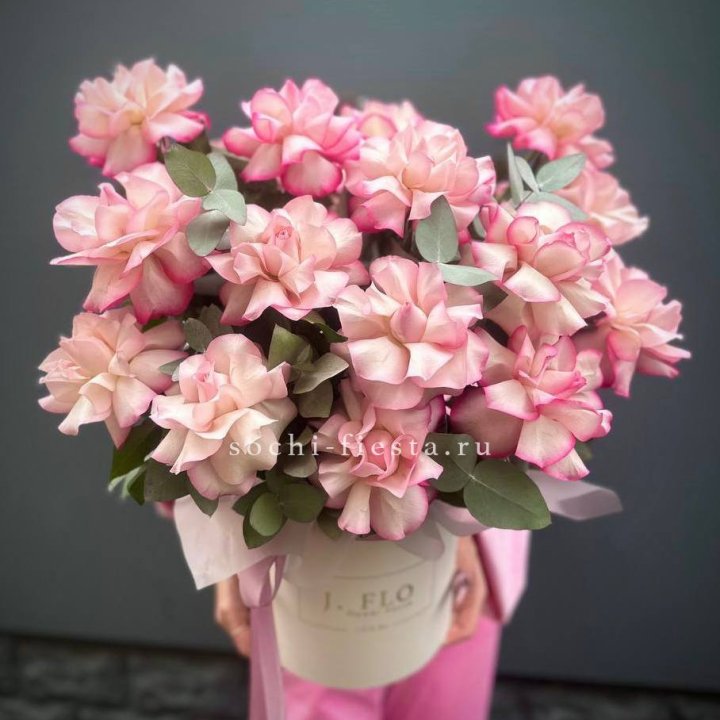 17 Французских  роз Венди в боксе в Белгороде