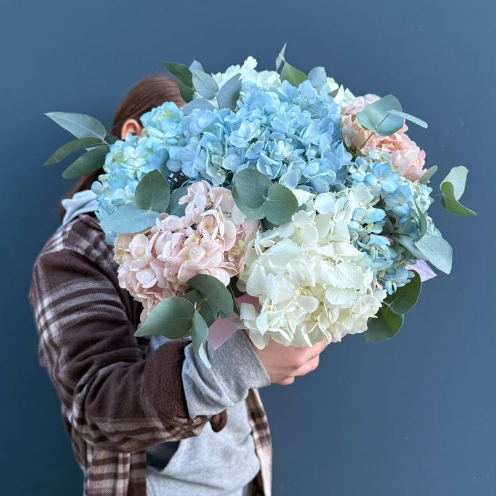 Гортензии в коробочке в Белгороде