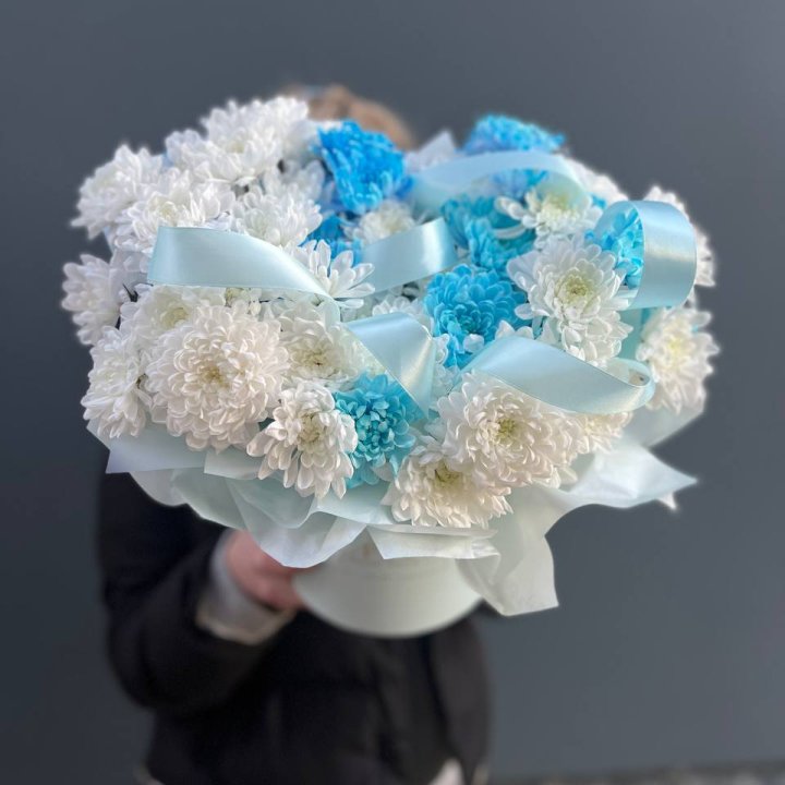 Хризнтемы в боксе в Белгороде