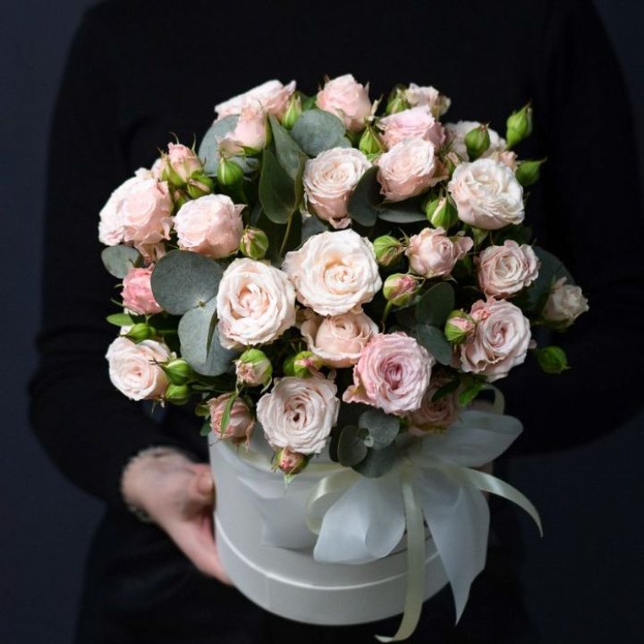 Бомбастик бокс №2 в Белгороде