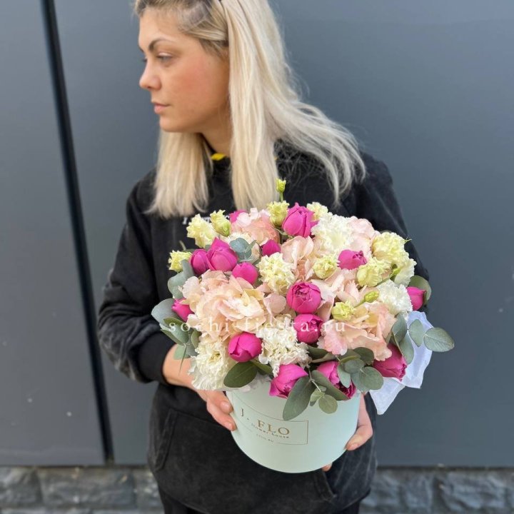 Сборный бокс премьер в Белгороде