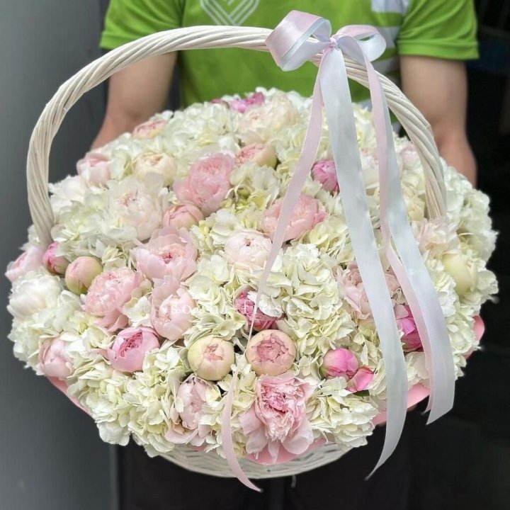 Премиум корзина гортензий и пионов в Белгороде