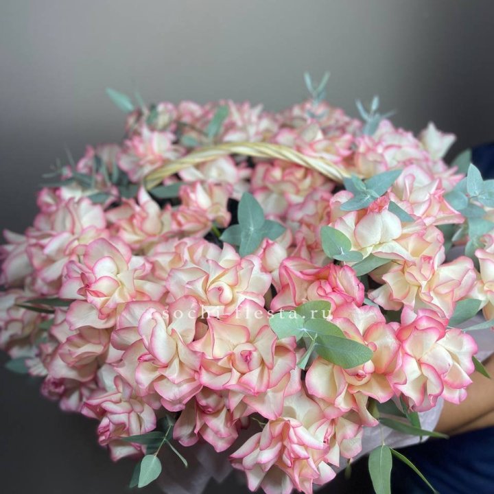 51 джумилия  в корзине   в Белгороде