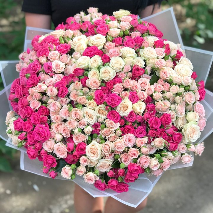 101 кустовая роза в Белгороде