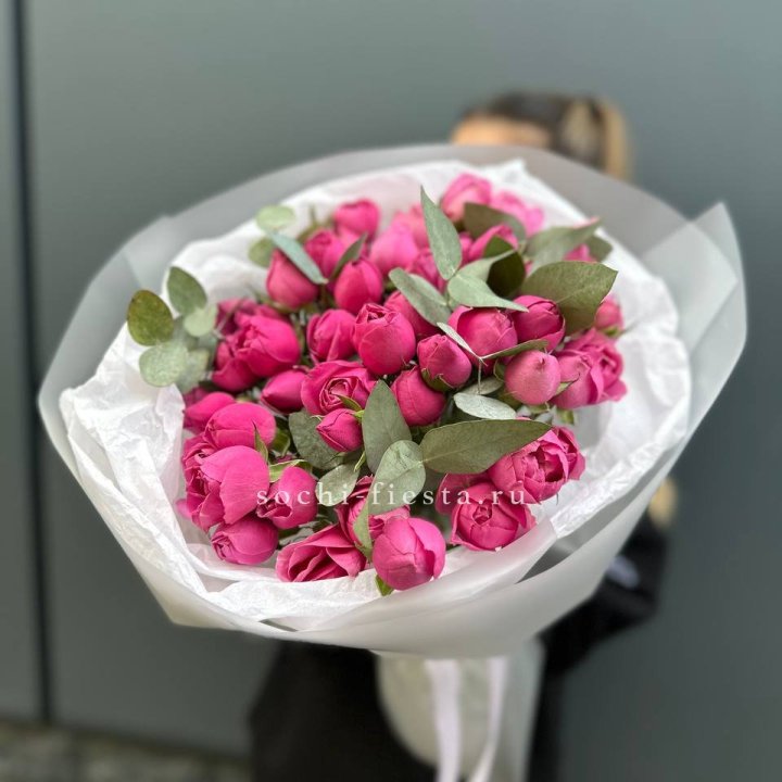 17 Мисти бабблс в Белгороде