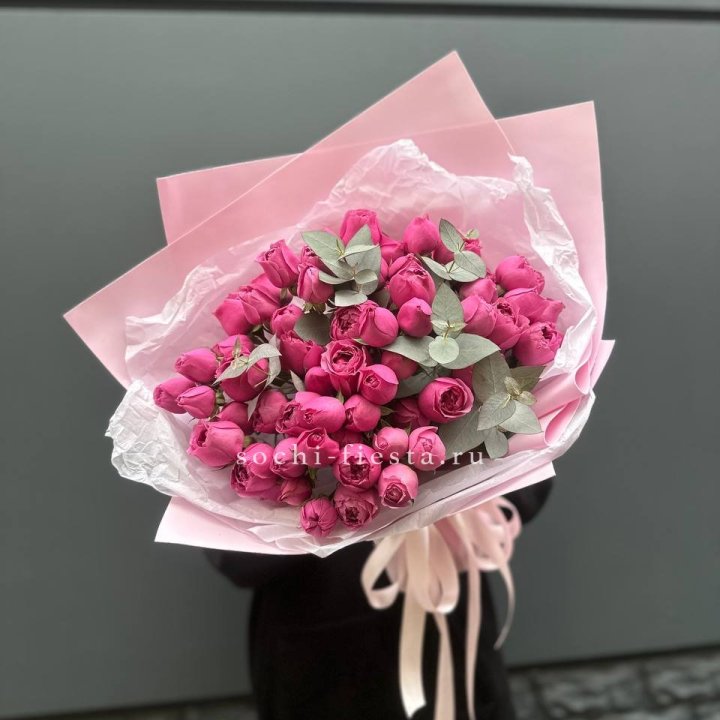 25 Мисти бабблс в Белгороде