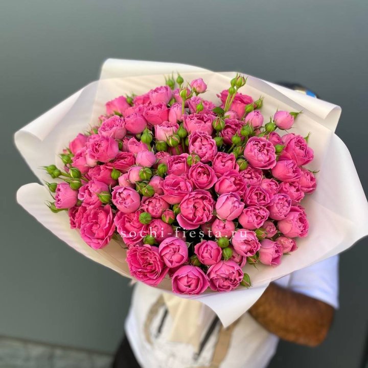 Мисти Баблс 35шт в Белгороде