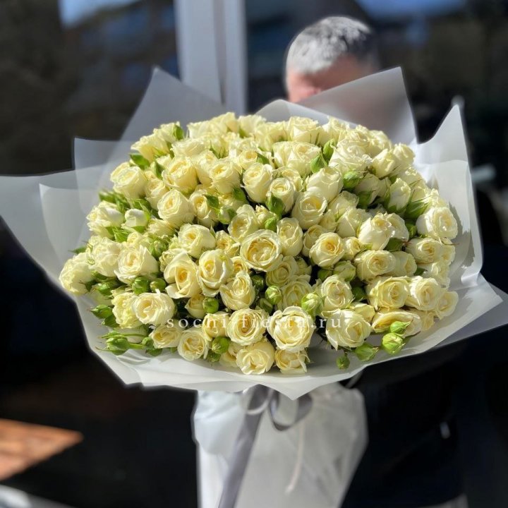 Белые кустовые розы 31 шт в Белгороде