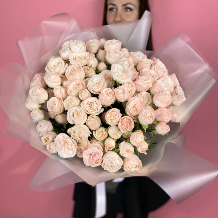 Carina в Белгороде