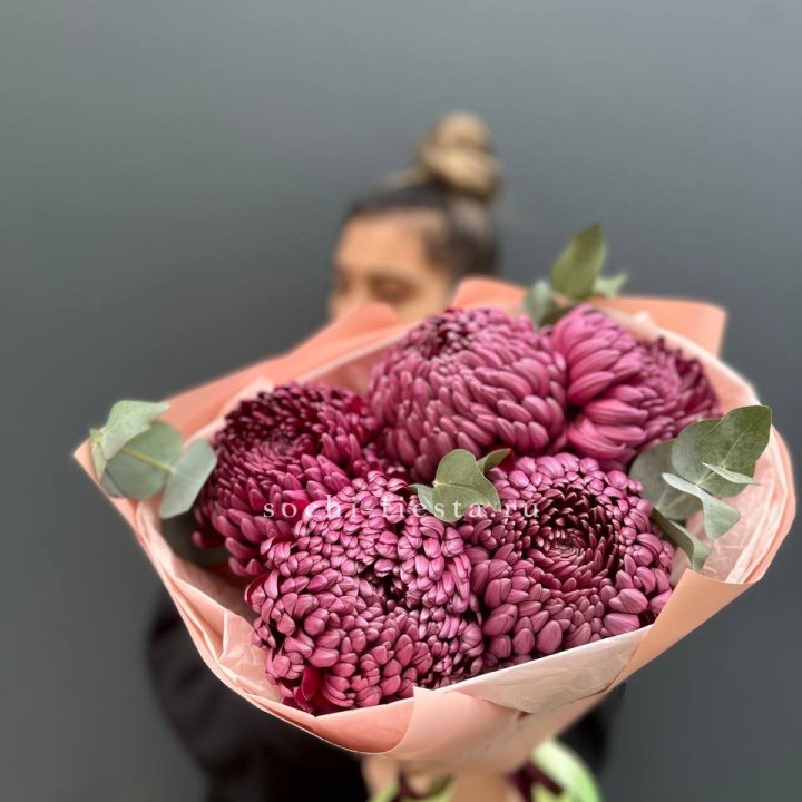 Хризантемы  Бигуди  в Белгороде