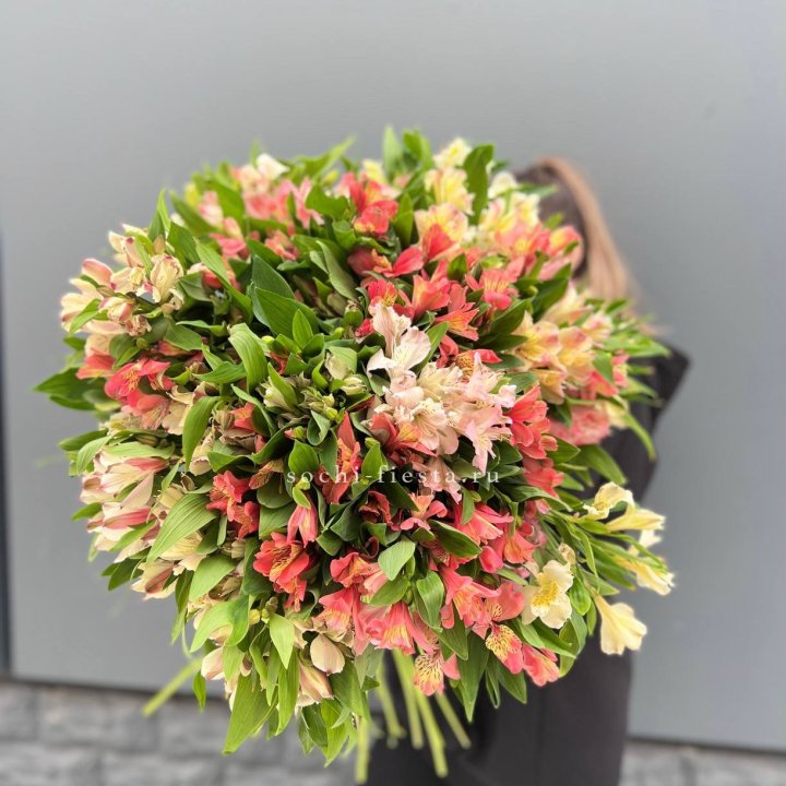 51 альстромерия в Белгороде