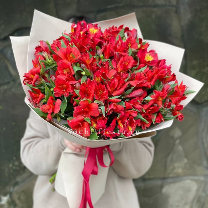 51 альстромерия в Белгороде