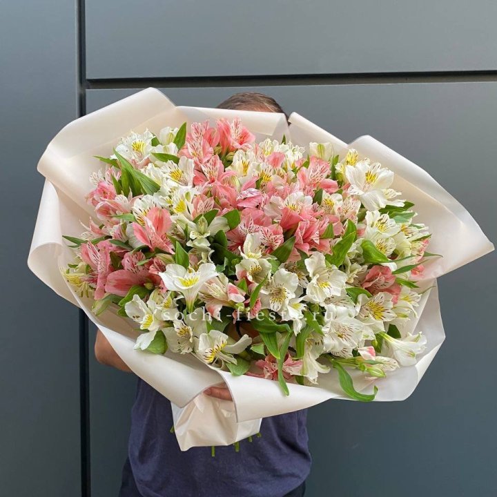 39 альстромерий в Белгороде