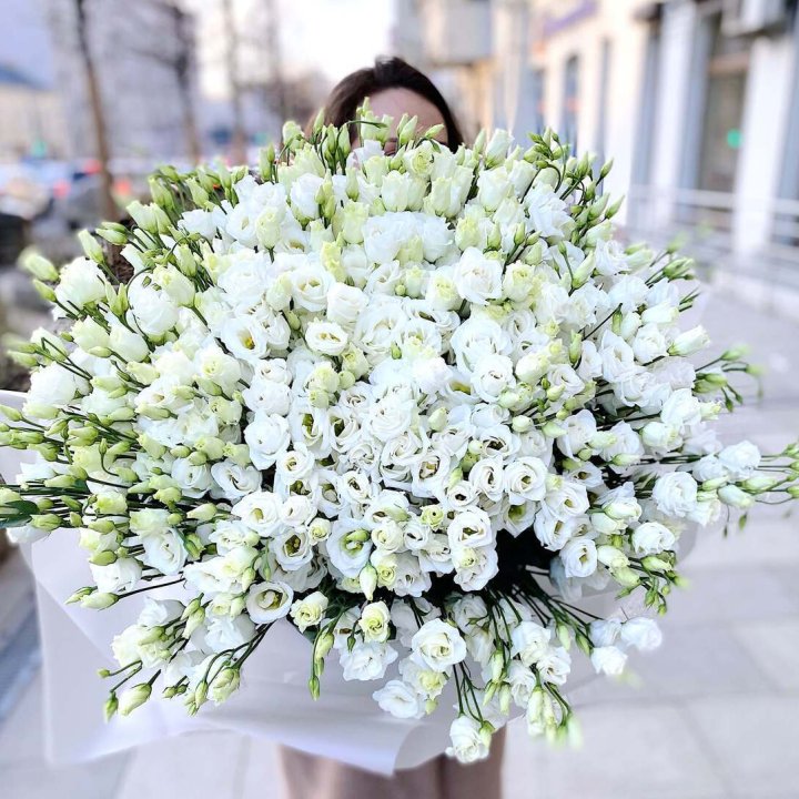 101 белая эустома в Белгороде