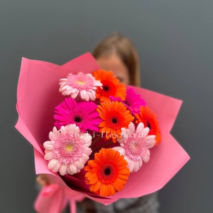 Краски в Белгороде