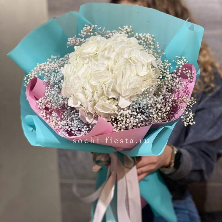 Гортензия "Райдов" в Белгороде