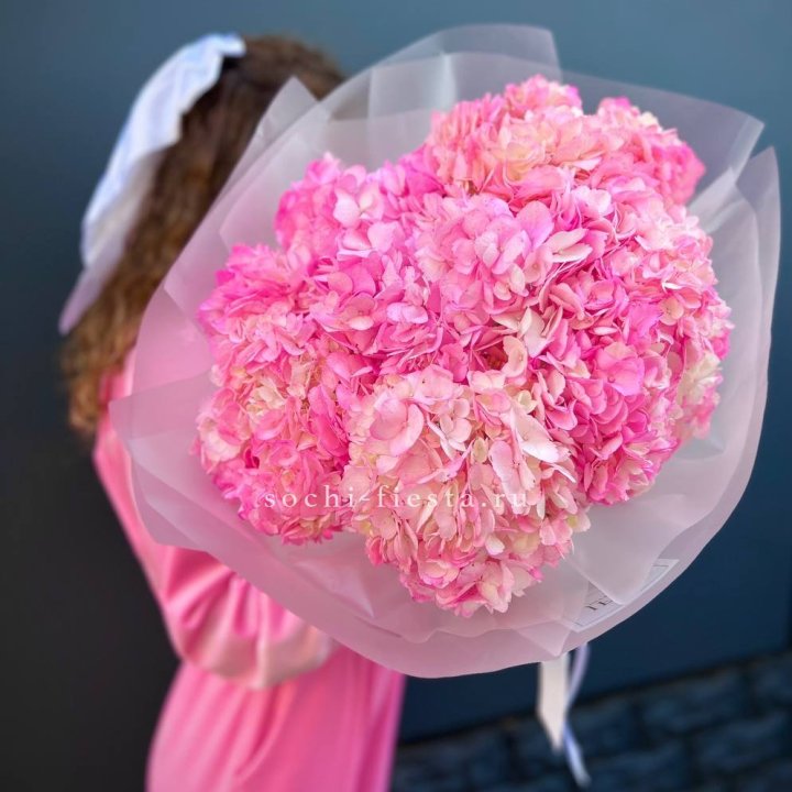 7 ярко розовых гортензий в Белгороде