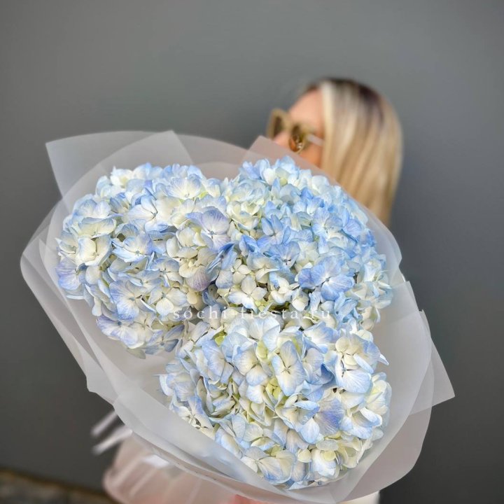 Букет из 3 голубых гортензий  в Белгороде