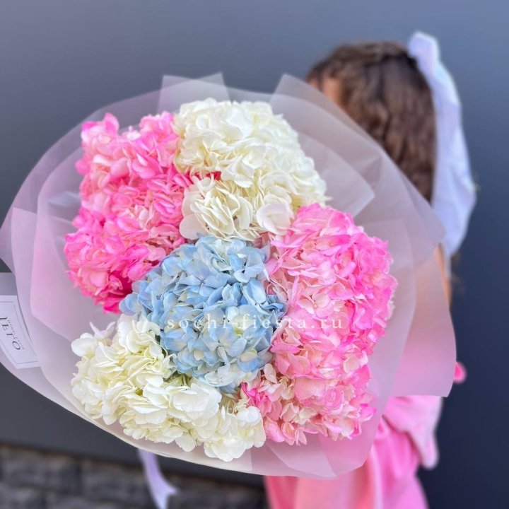 7 гортензий микс в Белгороде