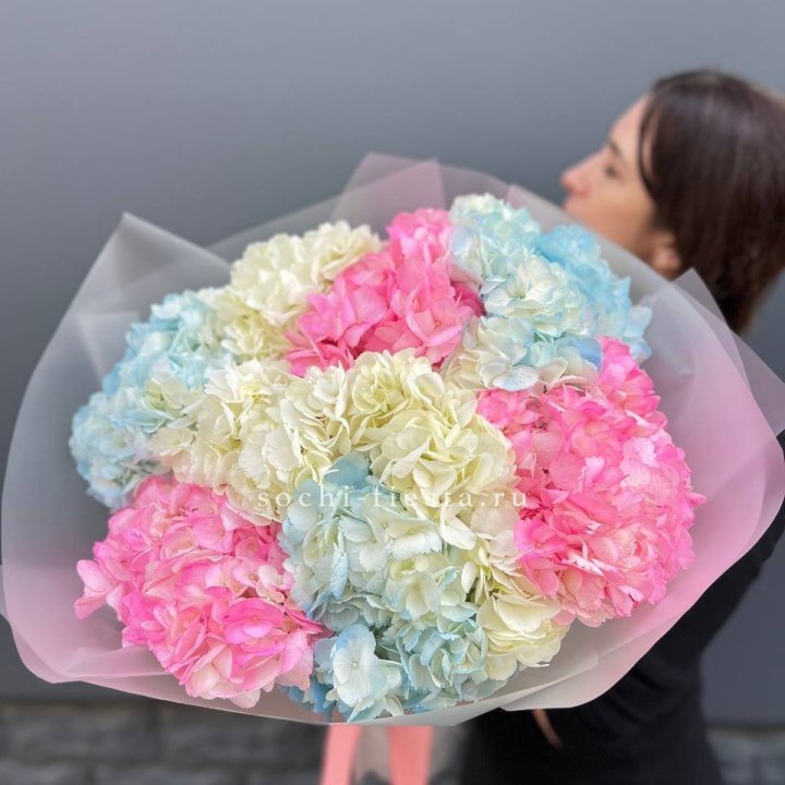 9 гортензий микс в Белгороде