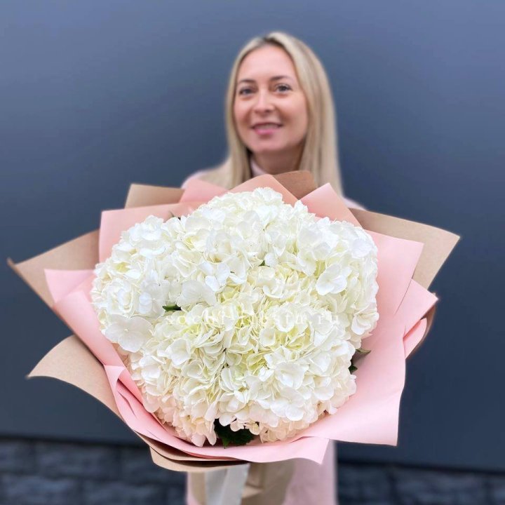 Гортензия белая в Белгороде