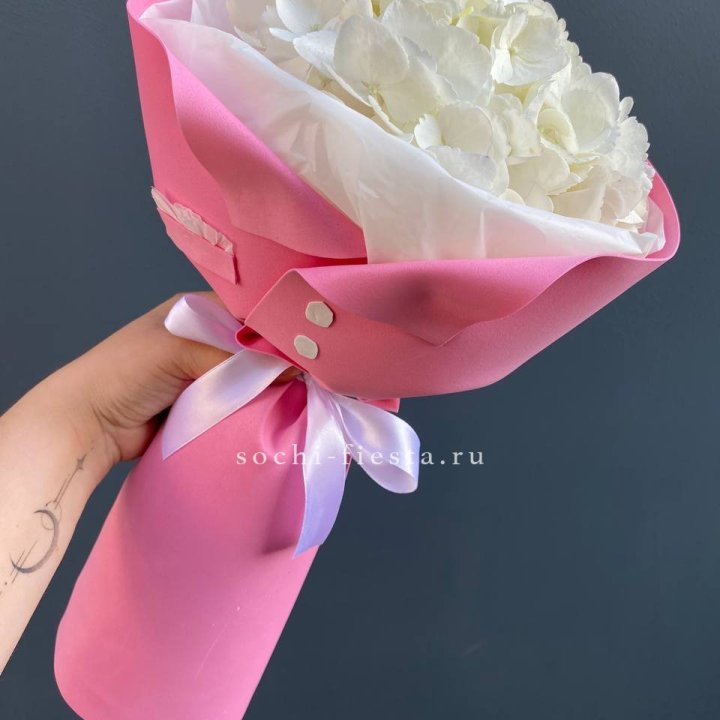 Гортензия в розовом пиджаке в Белгороде