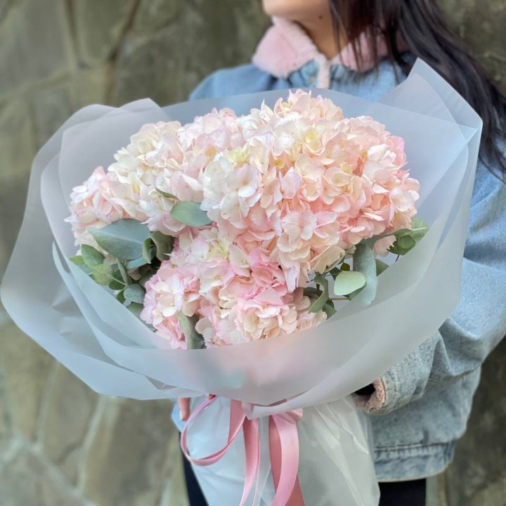 5 розовых гортензий в Белгороде