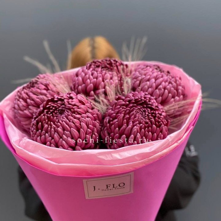 Хризантемы  Бигуди с стифой в Белгороде