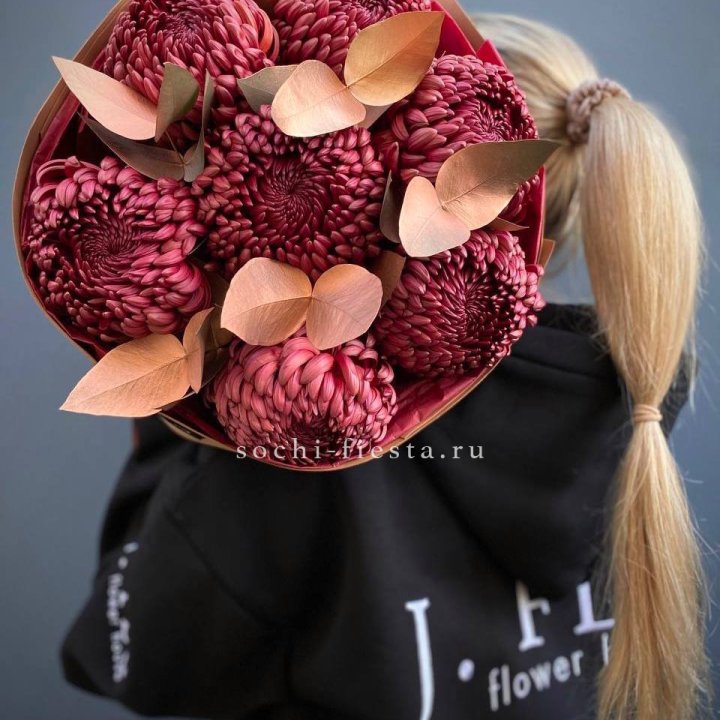 Хризантемы "Голд шоколад" в Белгороде