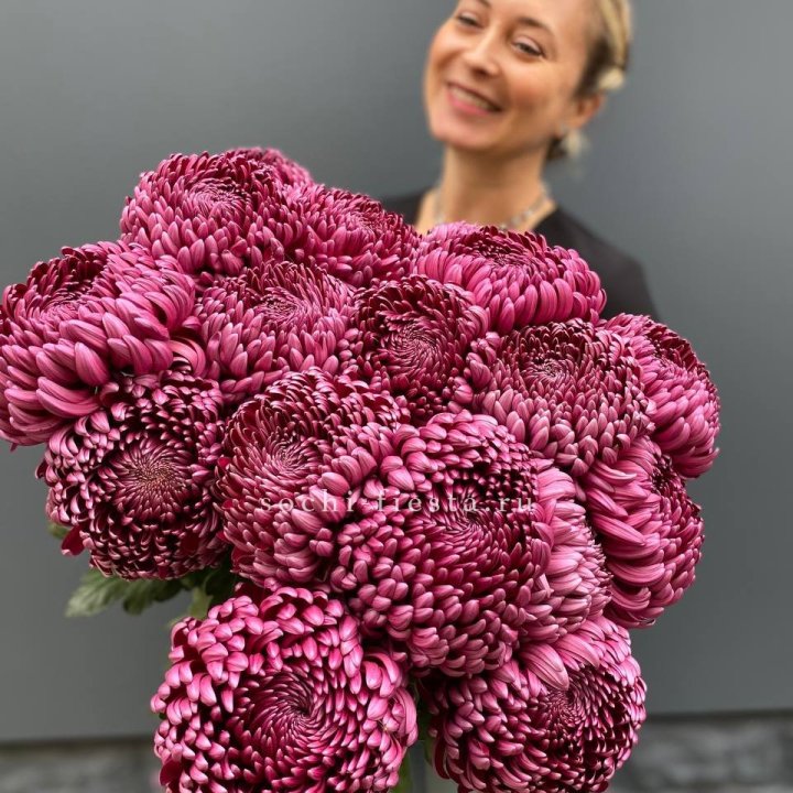 Охапка хризантем Бигуди в Белгороде