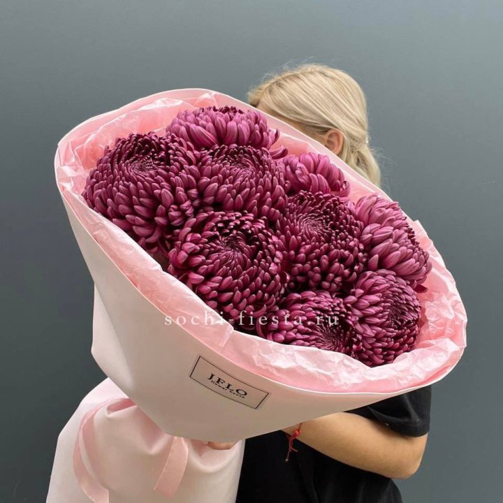 9 хризантем бигуди в Белгороде