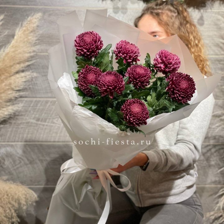 Хризантемы Бигуди в Белгороде