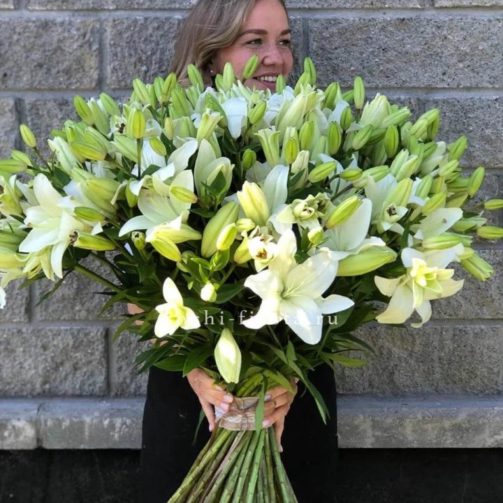 51 лилия в Белгороде