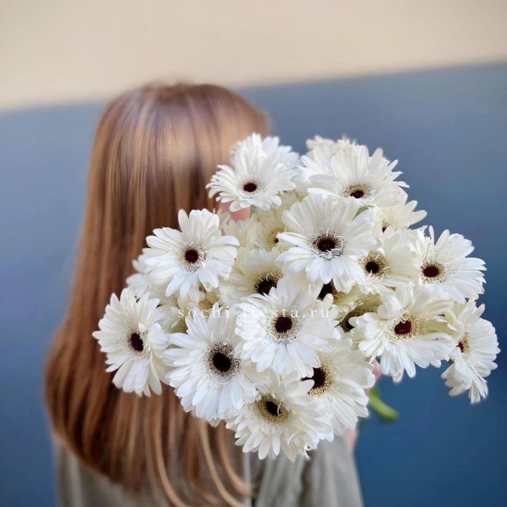 Охапка гербер в Белгороде