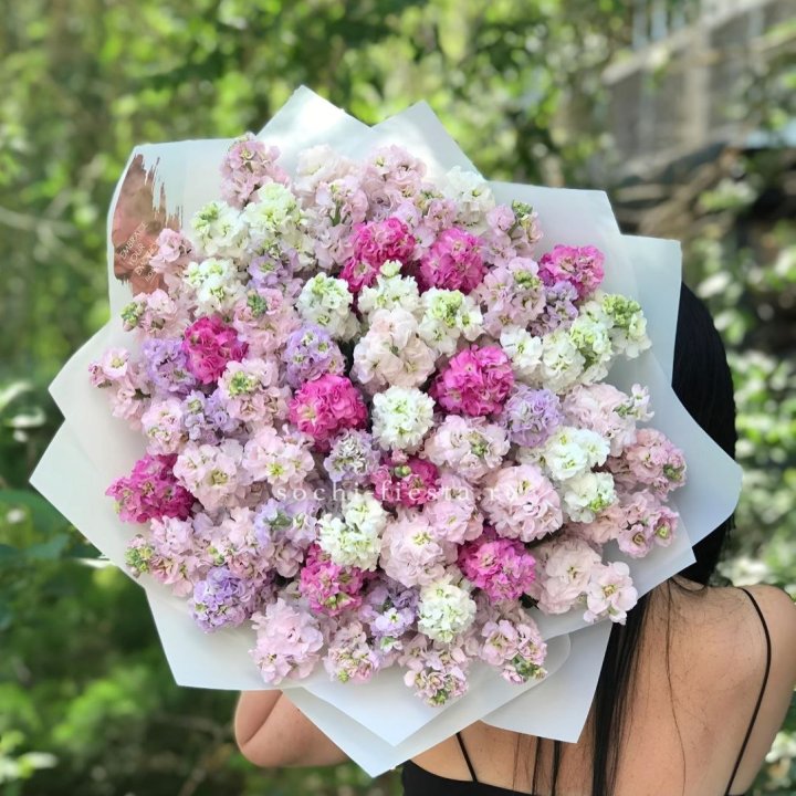 Букет ароматной маттиоллы №3 в Белгороде