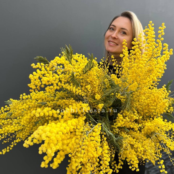 Охапка мимозы №2 в Белгороде