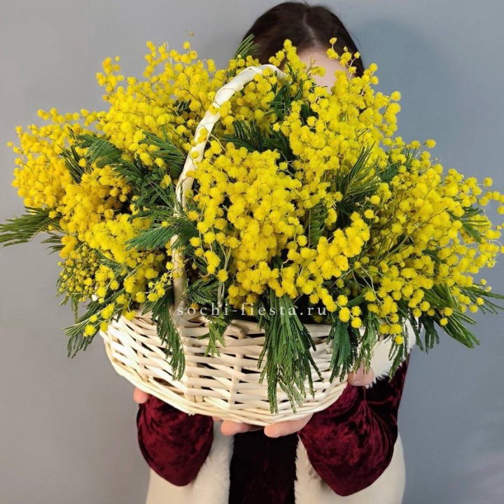 Корзина ароматной мимозы в Белгороде