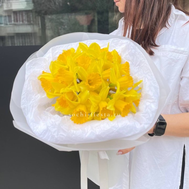 Нарциссы 25 шт в Белгороде